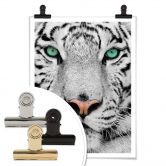 Poster Gorgeous Sumatran Tiger 