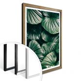 Affiche - Urban Jungle - Alokasie Calidora 