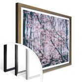 Poster Pink Flower Dream 03 