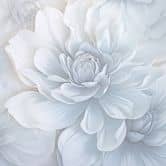Blumenmotivtapete Big Pictures grau 2,50 x 2,70 m 