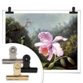 Poster Heade - Stillleben mit Orchidee und Kolibris 