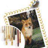 Poster Fuchs 01 