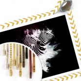 Poster Hugonnard - Wild Explosion: Zwei Zebras 