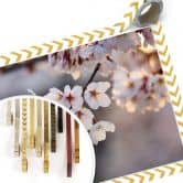 Poster Sakura branch 