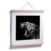 Poster Meermann - Der Tiger - quadratisch 