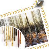 Poster Olsen - Sonnenschein im Birkenwald 