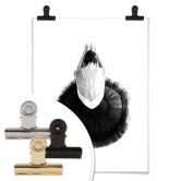 Poster - Prima Ballerina 