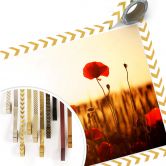 Poster Sonnenflut im Mohnfeld 