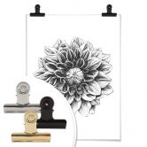 Poster Kools - Dahlia 