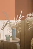 Peinture murale premium orange - PURO c9002 orange poussiéreux 