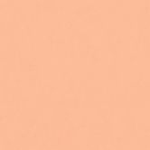 Vliestapete einfarbig Orange - Tapete mit glatter Oberfläche - Moderne Unitapete matt 