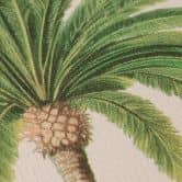 Papier peint palmier Beige Vert - Papier peint intissé illustré de plantes tropicales 