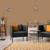 Peinture murale marron soyeux mat - THE COLOR KITCHEN Certain Cannelle 