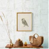 Erismann Vliestapete Evolution beige 