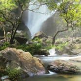Fotobehang Waterval in het Bos 