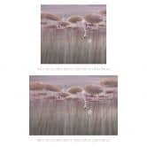 Natuur Fotobehang lotusbloemen met zwaan in het water in donkerroze - Ms Tiff 