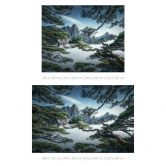 Fototapete Kiefernwald im Huang Shan Gebirge - NingYun Ye 