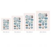 Fototapete Filigrane Algen und Muscheln | Botanische Illustration - casa cartissi 