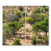 Stove cover plate savannah landscape in Africa - Hugonnard 