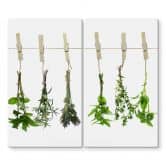 Stove cover plate - Herbs 