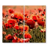 Herdabdeckplatte Poppy Field 