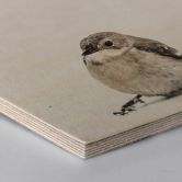 Hexagon - Holz Birke-Furnier - Kleiner Spatz 