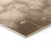 Holzbild Pusteblumen Traum in Beige - Ms Tiff 