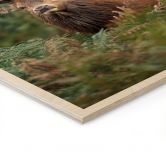 Holzbild Rothirsch - Wächter des Waldes - van Duijn 