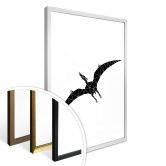 Poster Nouveauprints - Geometric Dinosaur Pterodactylus 