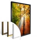 Poster - Goldener Herbst  