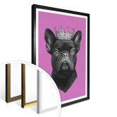Poster Korenkova - King French Bulldog pink 