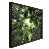 Poster Hugonnard - Wald in Japan 