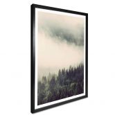 Poster Nebel im Wald 02 