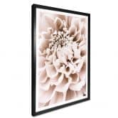 Poster 1X Studio - Chrysantheme 