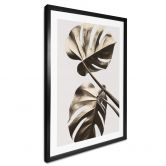Poster 1X Studio - Goldene Monstera 