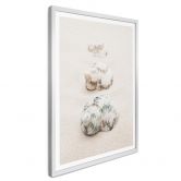 Poster 1X Studio - Meeresschnecken 