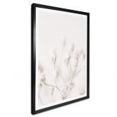 Poster 1X Studio - Zarte Blüten 