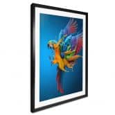 Poster Almawash - Der Papagei und das Farbenspiel 