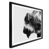 Poster Angyalosi - Bison 