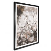 Poster Annie - Wildblumen 
