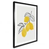 Poster Blursbyai - Illustration eines Zitronenzweiges 