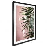 Poster Palmenblatt vor rosa Wand - Böhmer 