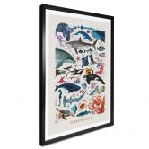 Poster Braun - Ocean Wildlife 
