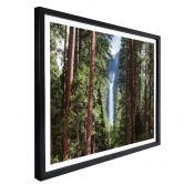 Poster Colombo - Wasserfall im Wald 