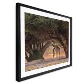 Poster D'Amico - Zwei Giraffen in Namibias Savanne 