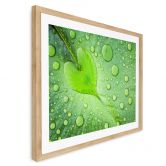Poster Hart van Regen 