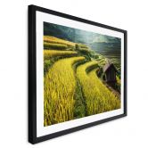 Poster Intarob - rizières au Vietnam 