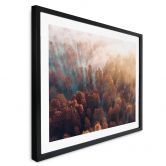 Poster Herbstwald im Nebel - Ioricon 