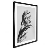 Poster Jo - Zauberhafter Lilie schwarz-weiß 
