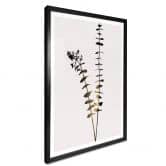 Poster Kubistika - Schwarz-Goldener Eukalyptus 